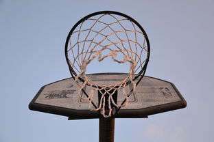 乐鱼体育下载app官网-NBA联盟篮球文化传播及其全球影响,nba球队文化