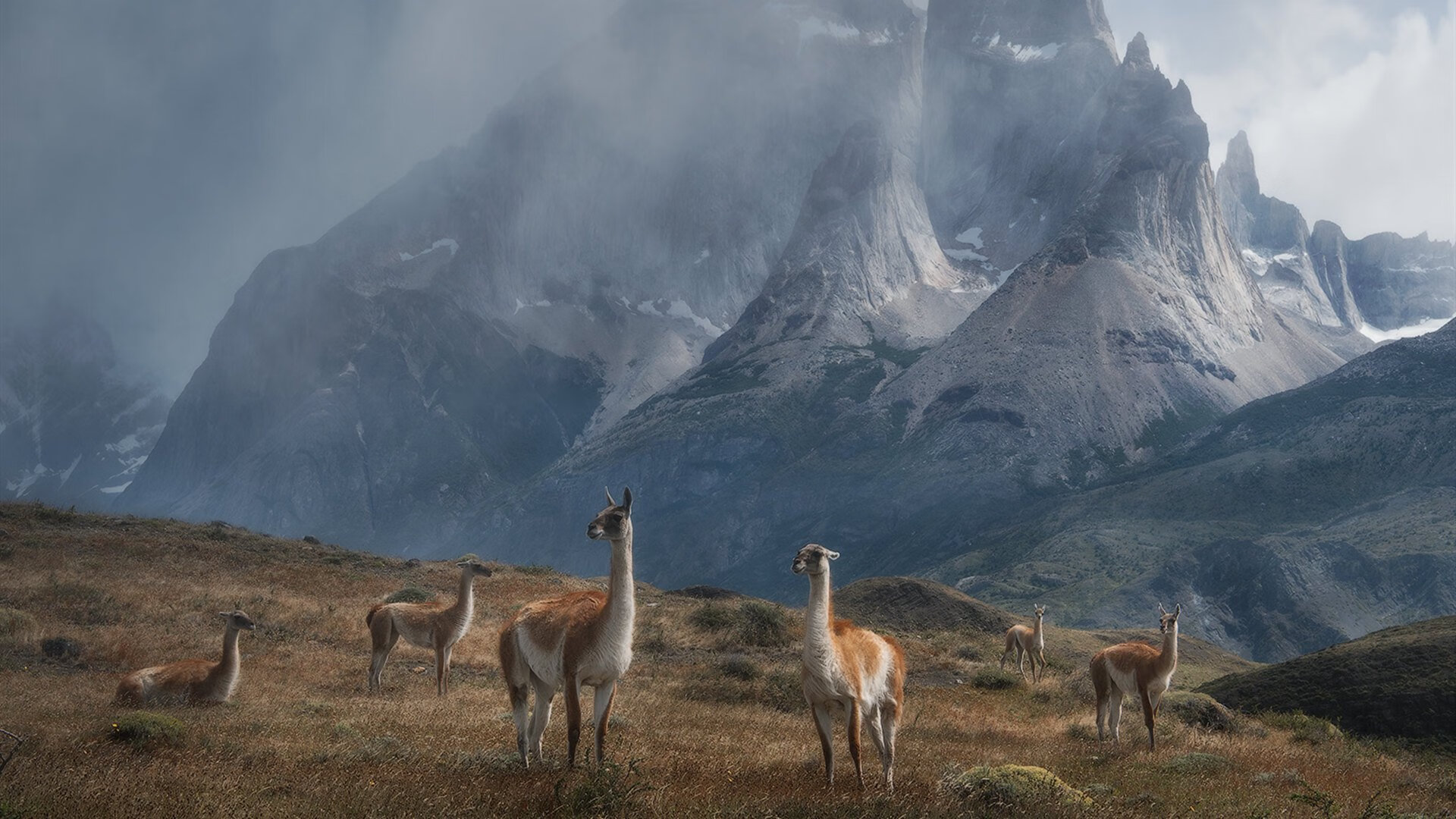 乐鱼体育app入口-中国男篮强化战术纪律 提升比赛执行力，为提高男篮大赛成绩,给中国男篮支招,切实可行的建议!