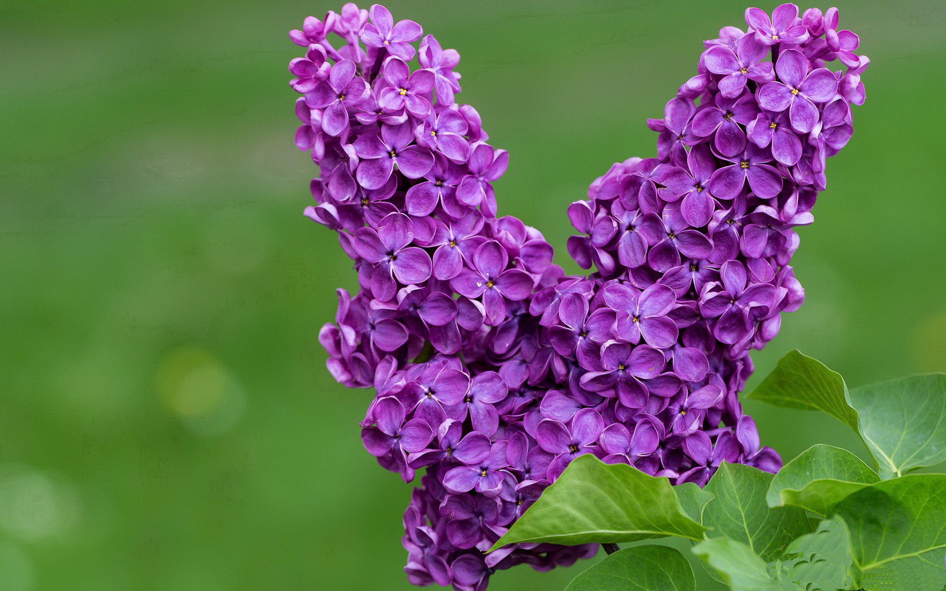 乐鱼体育官网下载-中国男篮备战国际赛事信心满满，中国男篮 迎战