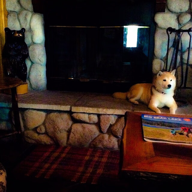 乐鱼体育官网注册-中超联赛中国足球爆冷 战术执行遭质疑,中超比赛争议