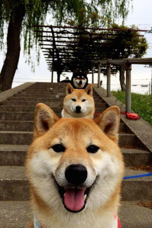 乐鱼体育官网下载-体育新闻中心构建体育赛事版权管理体系,体育比赛版权申请