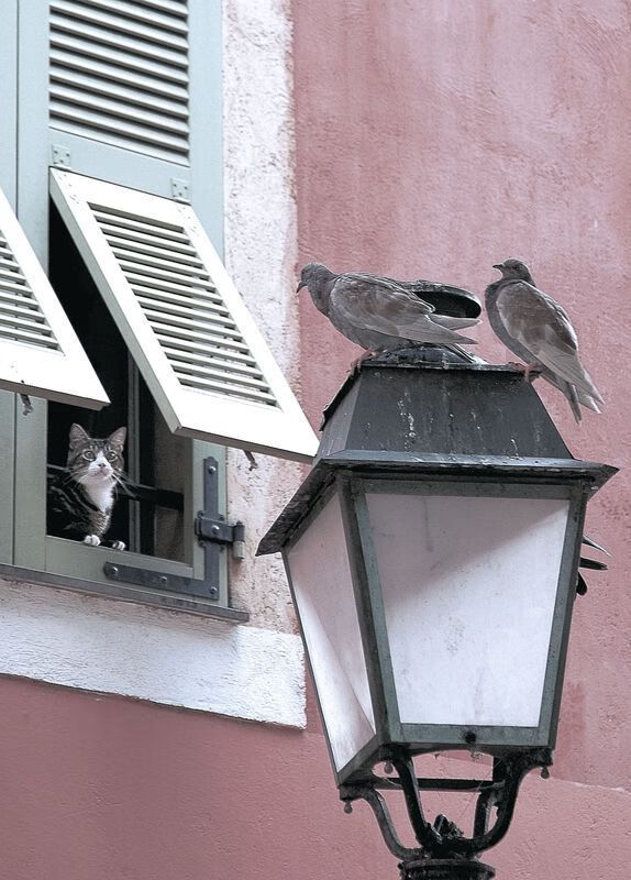 乐鱼体育app官网-乌拉圭男篮在南美锦标赛中持续发力，体育事业向上突破，乌拉圭男篮落选赛名单