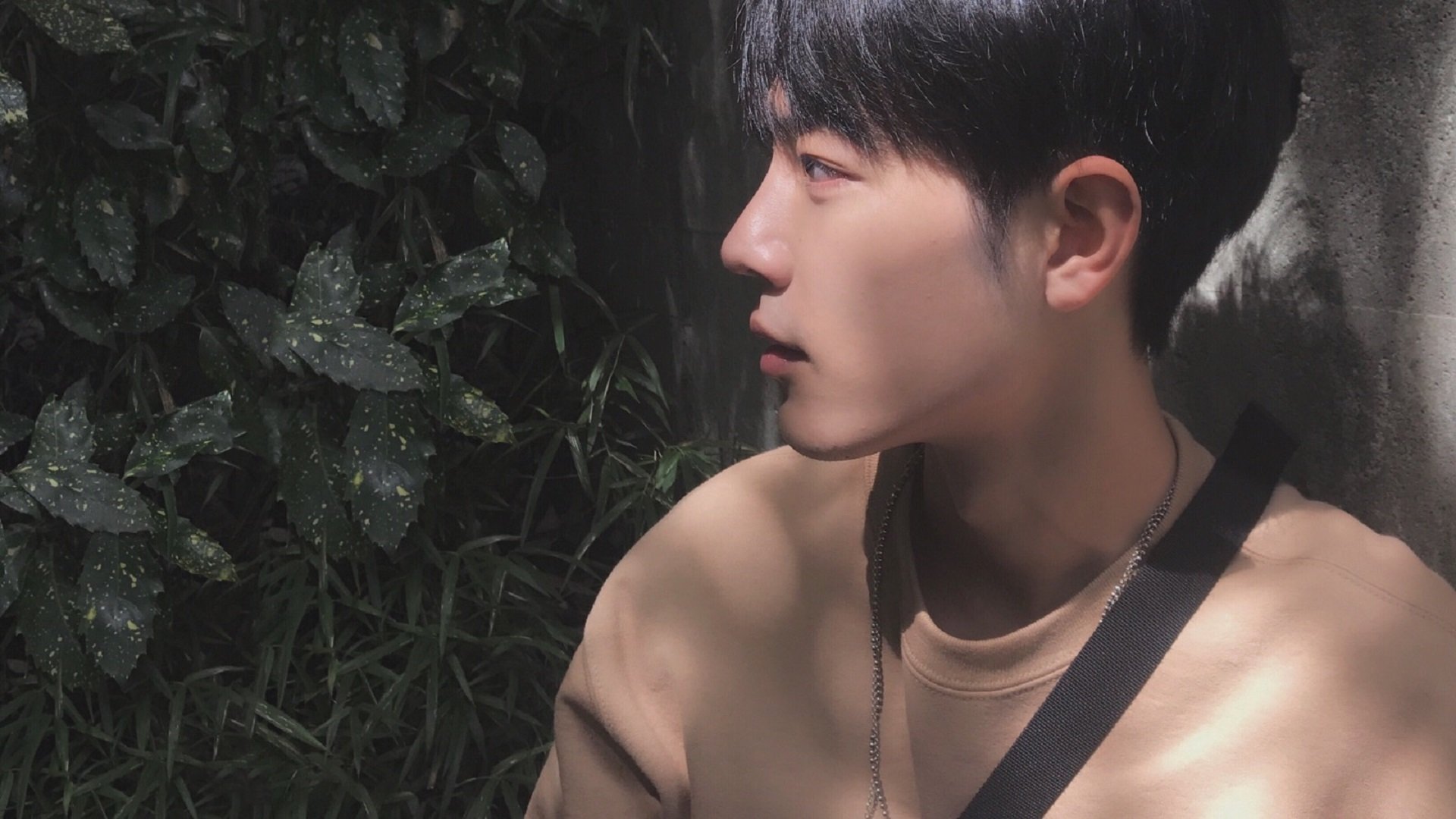 乐鱼app下载-女子4×200米自由泳接力美国队稳居第二,女子4×200米自由泳接力美国选手